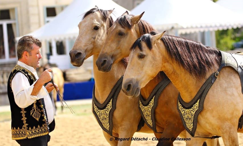 Christophe Hasta Luego avec ses chevaux